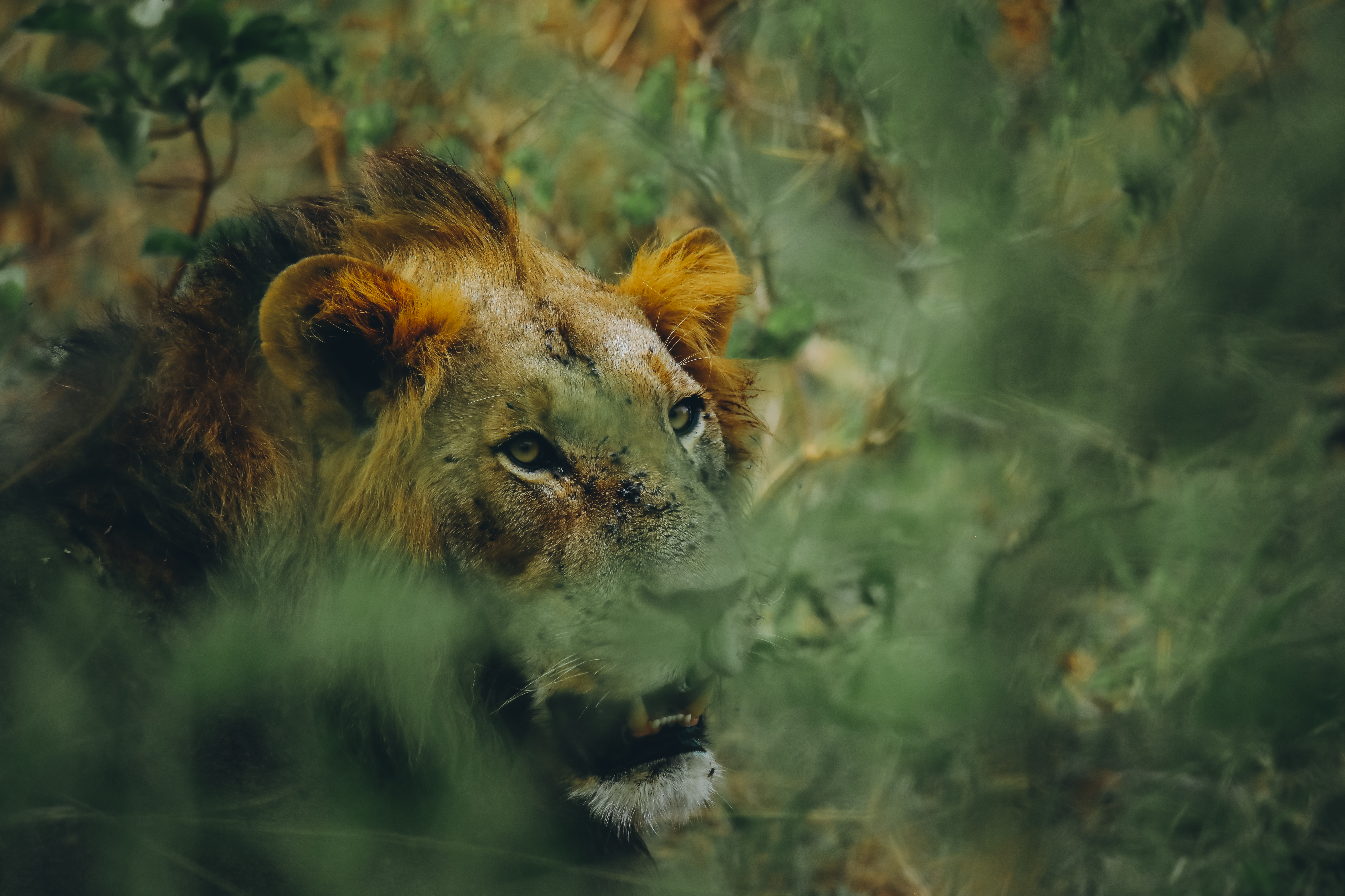 Rwanda Travel